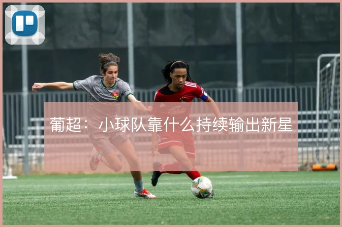 葡超:小球队靠什么持续输出新星